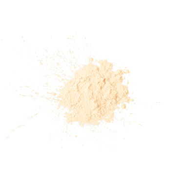LIGHT REFLECTING&trade; PRISMATIC POWDER - LOOSE, NARS Exclusions